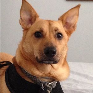 Meet your Posher, Katie